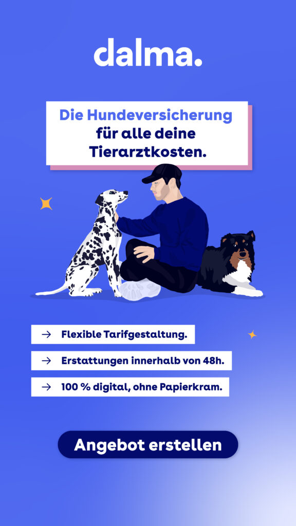 Angebot für Hundeversicherung von Dalma erstellen lassen, flexible Tarifgestaltung, erstattung innerhalb von 48h und 100% digital
